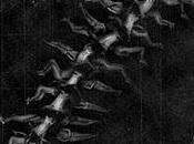 human centipede poster, sinopsis imagenes