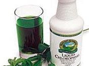Clorofila para cuidar salud