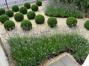 Nuevos jardines rusticos