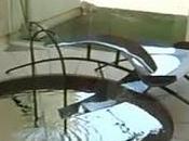 Video: fuente mercurio