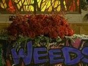 Weeds llegó...¿a final?