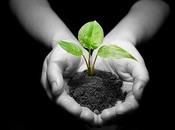 Como cuidar nuestro injerto renal