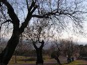 éxodo mujeres pone peligro futuro España rural