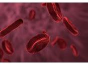 proteínas sangre determinan nuestra longevidad