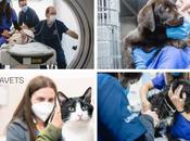 Grupo Veterinario UNAVETS apoya equipos clínicos aumento salarial para todos empleados