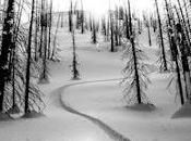 4.939 campos nevados...