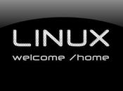 Consejos Para Pasar Principiante Linux