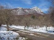 Descubre naturaleza Catalunya