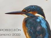 Exposición Concurso Fotográfico «Laguna Fuente Rey”