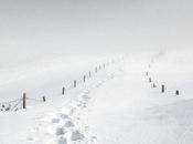 nieve