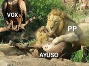 Guerra muerte ascenso Vox.