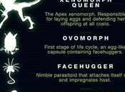 Alien: Ciclos vitales (Infografía)