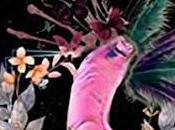 Opinión catarsis astronautico