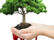 hemos estar agradecidos nuestros defectos