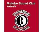 Tangerine Flavour Moloko Sound Club