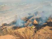 registra incendio forestal atrás Secretaría Salud