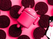 Reporte: Fuchsia pondrá Android 2023
