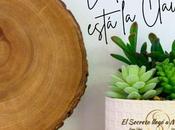 Pasos básicos para aplicar Feng Shui
