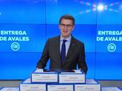 Feijóo caer burra.