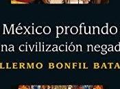 Arte Inculturación búsqueda elementos significación novohispanos