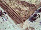 Hegemonía cualquier costo