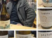 Vins memoria xavi nolla