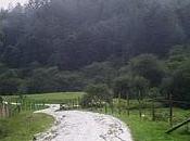 montañas corazón