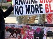 Toros violencia genero