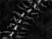 Human Centipede (Full Sequence) trailer subtitulado español