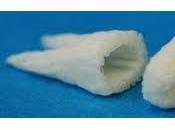 (298) nueva tecnología desarrolla dientes artificiales interior boca