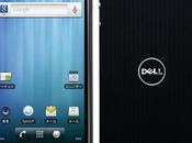 Dell 101DL Pro, pepinaco.