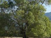 Haiku niña bonita niño