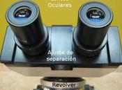 Partes Microscopio óptico función