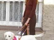 personas ciegas cada