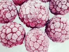 Cómo congelar frambuesas frutas bosque