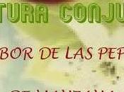 Lectura conjunta concurso sabor pepitas manzana