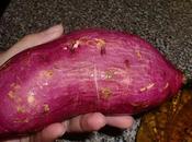 Batata Salamanca/サツマイモ発見