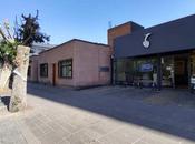 Mueblerías Garza destruye árboles avenida Carranza