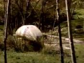 Recuperación Fuente Fregacedos 1992