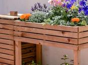 Cómo hacer compost casa