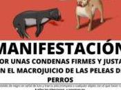 Manifestación Tenerife, condena firme macrojuicio peleas perros
