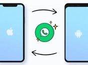 Whatsapp permitirá usar mismo número móviles diferentes, pero como habías imaginado