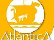 Mercadillo Atlántica Juegos: Mayo
