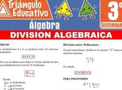 División Algebraica para Tercero Secundaria