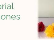 Video tutorial pompones