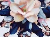 Opinión magnolia antonio cantos