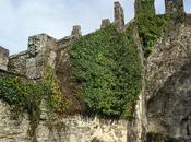 Sarria camino Santiago