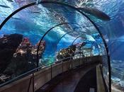 actividades L’Aquàrium Barcelona
