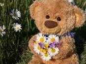 5.104 vamos campo...