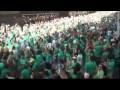 molesta marea verde